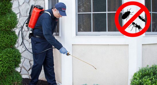 Çilimli Kene İlaçlama böcek ilaçlama ve haşere kontrolü — ilaclama-tr.com